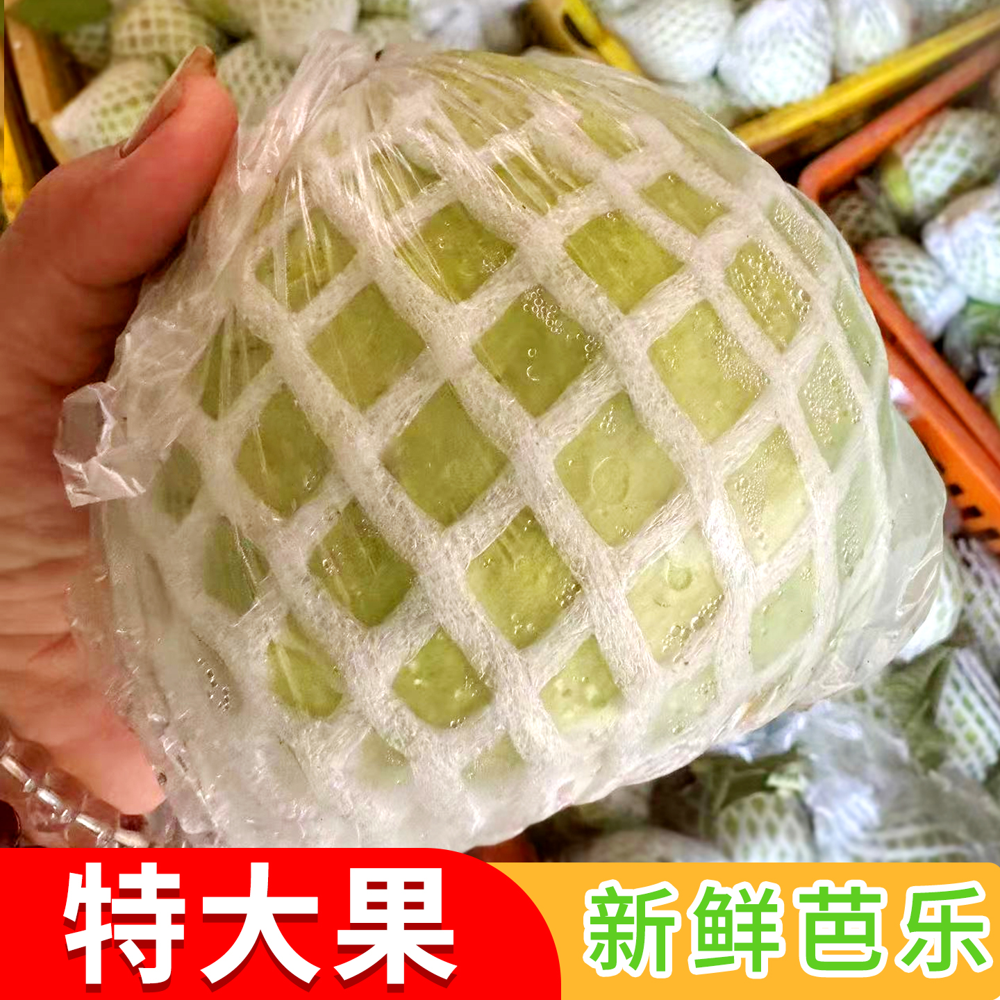 特大果软番石榴白心芭乐5斤当季新鲜水果软糯香甜奶油芭乐果包邮