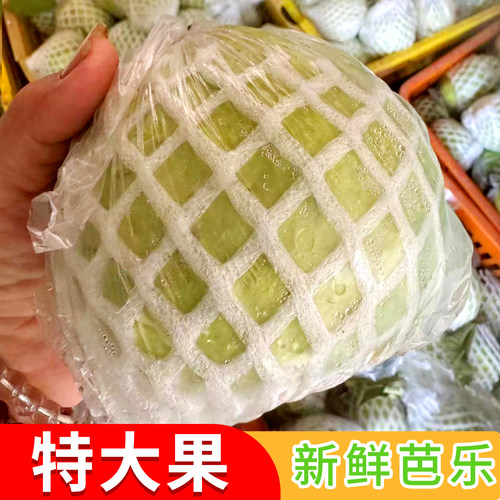 特大果软番石榴白心芭乐5斤当季新鲜水果软糯香甜奶油芭乐果包邮