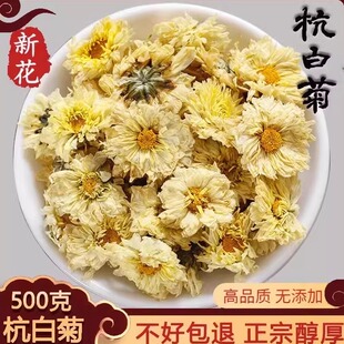 杭白菊干花500克头采桐乡新花高品质无添加杭州白菊花贡菊