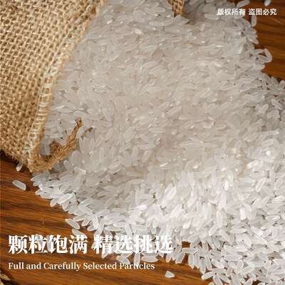 五常大米丰收季原粮东北稻花香2号国标GB/T19266产地直发