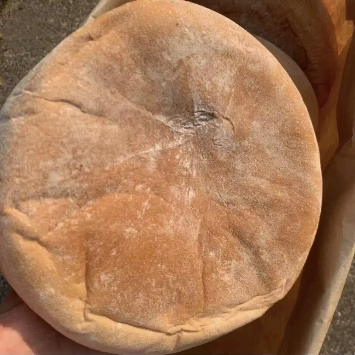 D东北老式大火勺红糖馅大饼老人小孩爱吃代早餐即食零食烧饼老味