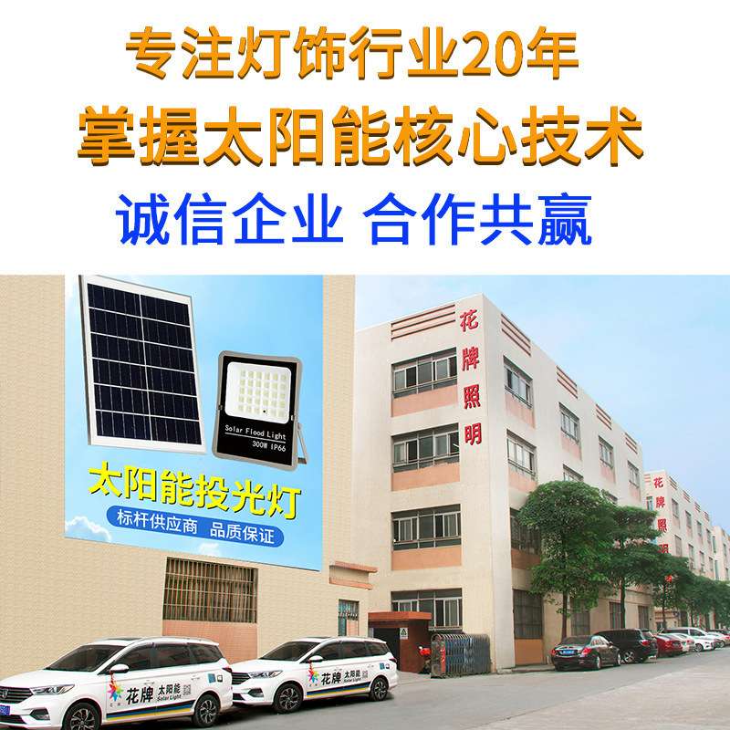 花牌太阳能投光灯 S01F户外防水泛光灯 LED庭院灯 室内室外壁灯