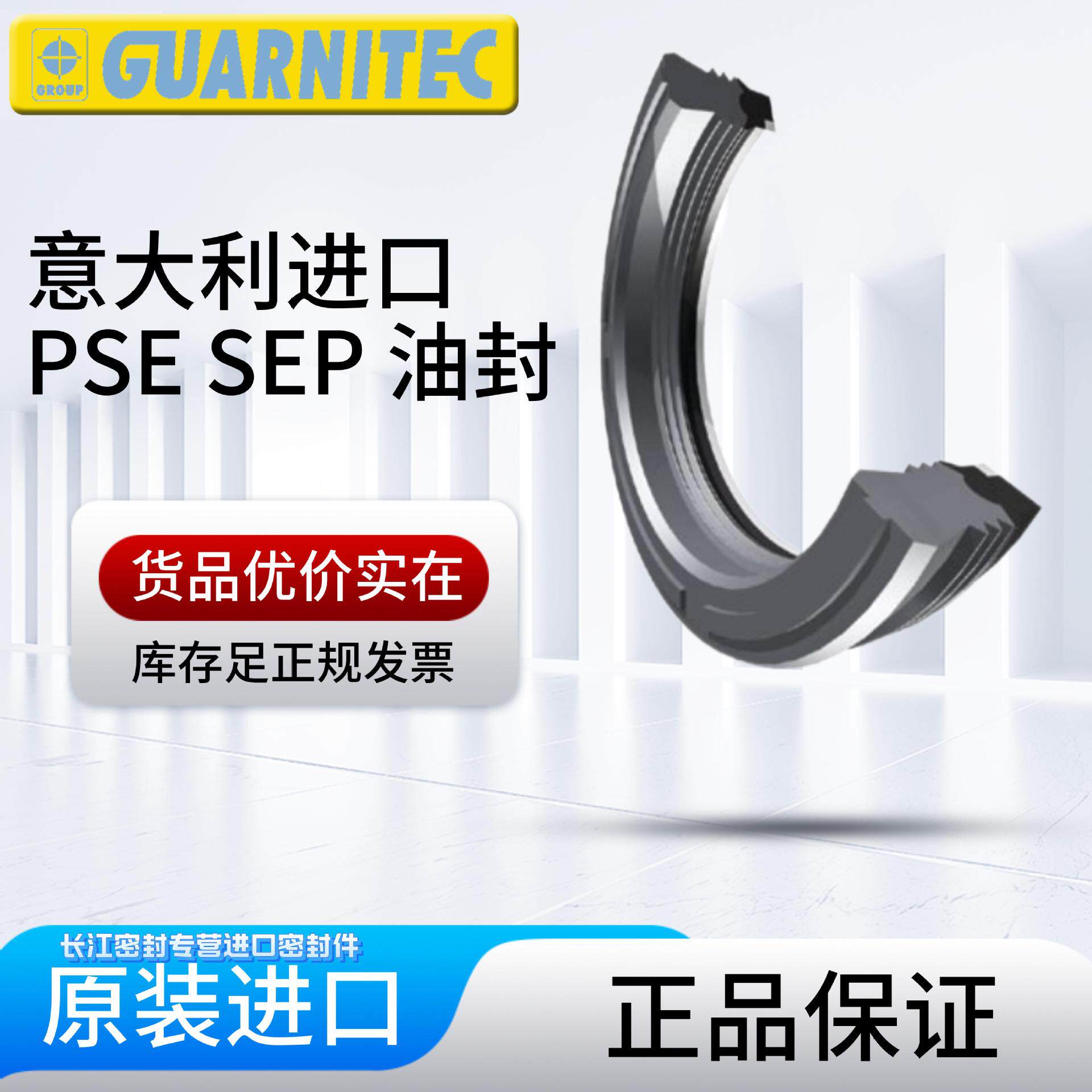 TECNOTEXPSE375196/1A意大利进口机械油缸密封件