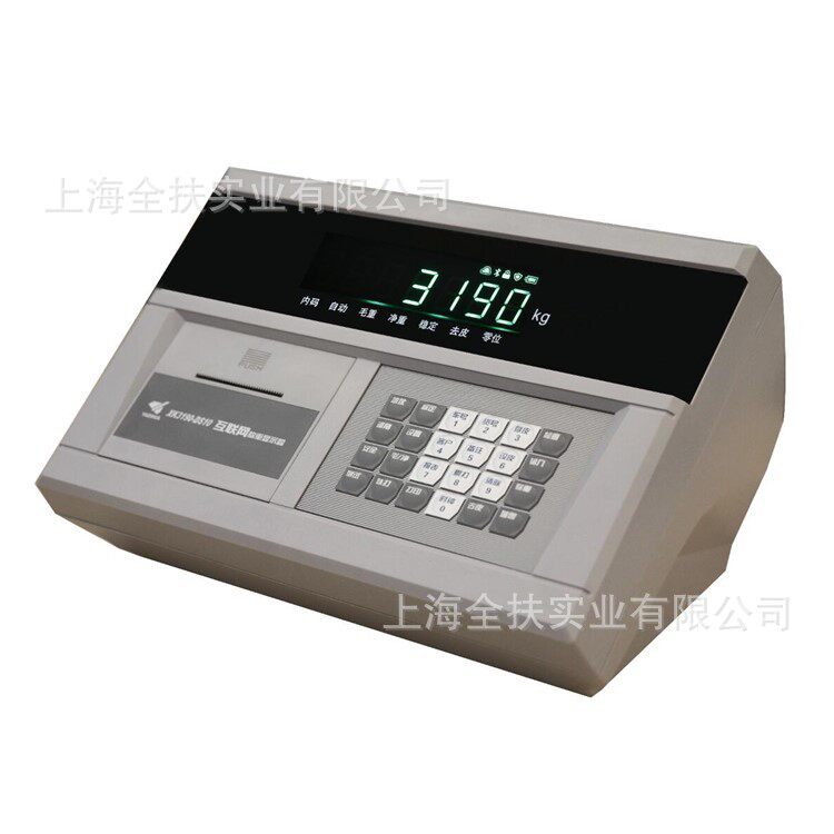 DS3汽车磅模拟显示器汽车衡专用显示仪表数字地磅标配打印仪表