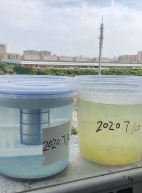 Solar pool ionizer太阳能铜银离子水处理器泳池水净化器purifier