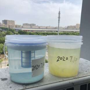 Solar pool ionizer太阳能铜银离子水处理器泳池水净化器purifier