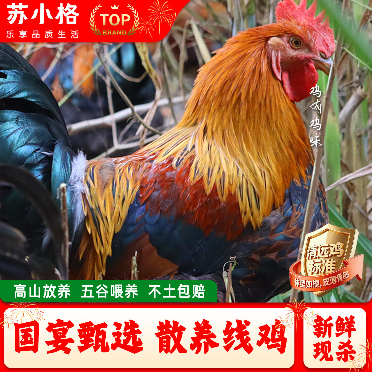 清远阳山大公鸡扇鸡整鸡现杀图片