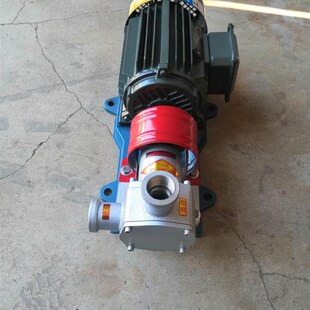 新款RXB-25不锈钢自吸挠性泵日化污水果汁颗粒豆浆Z牛奶酒包邮