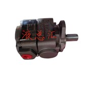 020 008 012 010 QX42 025 006 液压油泵 0q05 032 016