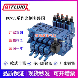 QTFLUID强田多路阀DCV28/55/58/40/100 DCV60A/3-0076 平衡阀VBSE