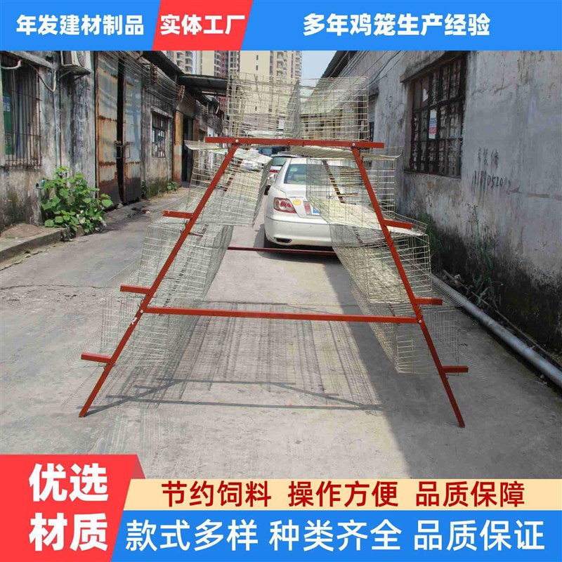 广东出口南美澳大利亚国家优质镀锌防锈蛋鸡笼长蛋率高三层蛋鸭笼