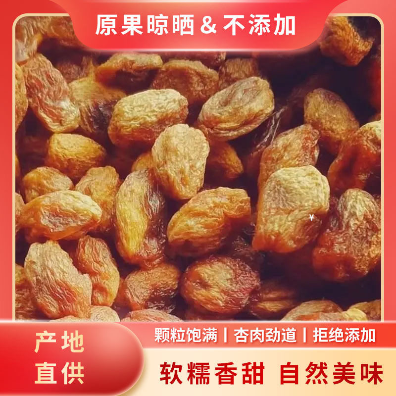 新疆直发喀什杏干原味树上大丑杏干自然休闲风干零食吊干杏无添加