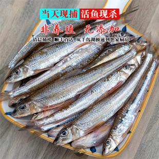 千岛湖野捕鲜棍子鱼淡水湖珍农家直供现捞现杀冰鲜鲜嫩美味顺丰