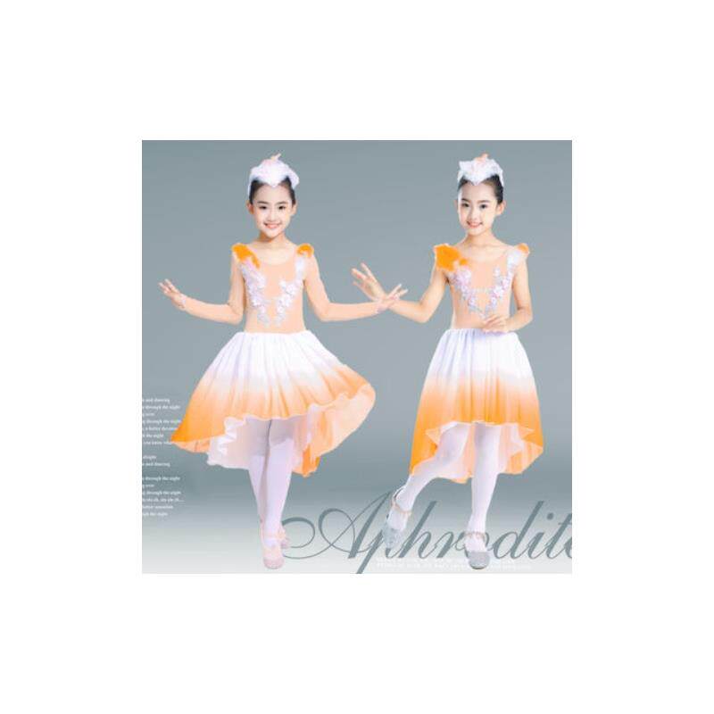 儿童舞蹈表演服朱鹮朱雀演出服装芭蕾舞现代古典舞艺考裙女童