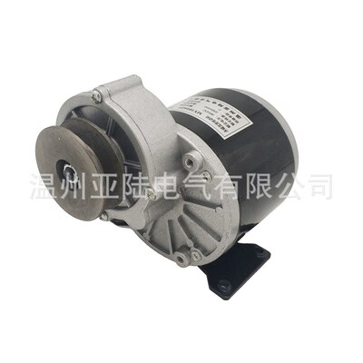 MY101d6Z广场充气车游乐车皮带轮电机350W24V36V游乐设备减速马达