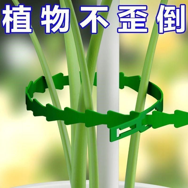 可调节鱼骨扎带捆绑线多用途园林绑树藤蔓植物固定园艺可拆卸扎线,基础建材,缎带/扎带,淘宝优惠券,粉丝福利购,淘宝优惠卷