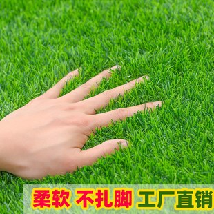人造草皮幼儿园塑料假草坪地毯户外装饰人工仿真草皮围挡绿草垫子