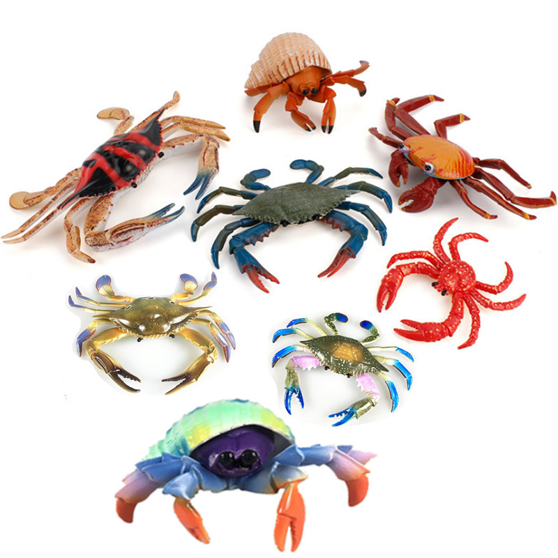 仿真海洋动物螃蟹寄居蟹模型玩具 帝王蟹梭子蟹摆件 儿童科教模型