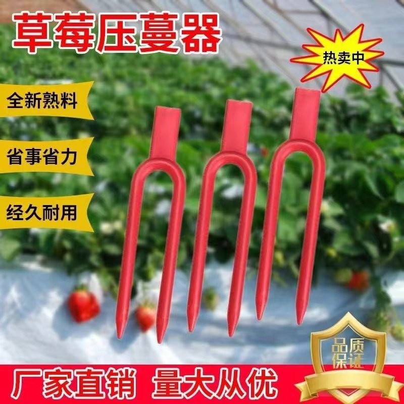 草莓压苗叉压蔓器生根定植器草莓叉子新款厂家直销育苗藤蔓固定器