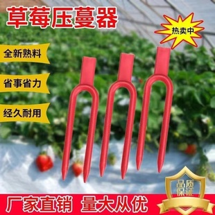 草莓压苗叉压蔓器生根定植器草莓叉子新款厂家直销育苗藤蔓固定器
