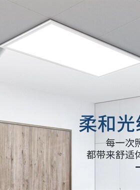 327X327巴迪斯美赫327X654适用铝扣板集成吊顶卫生间led平板灯