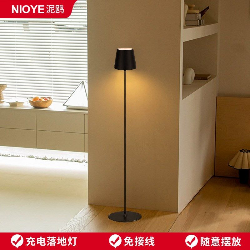 充电落地灯客厅沙发旁边轻奢高级感立式装饰卧室床头氛围落地台灯