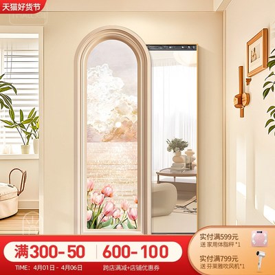 奶油风玄关全身镜装饰画2025新款隐形镜子画暗藏式推拉遮挡穿衣镜