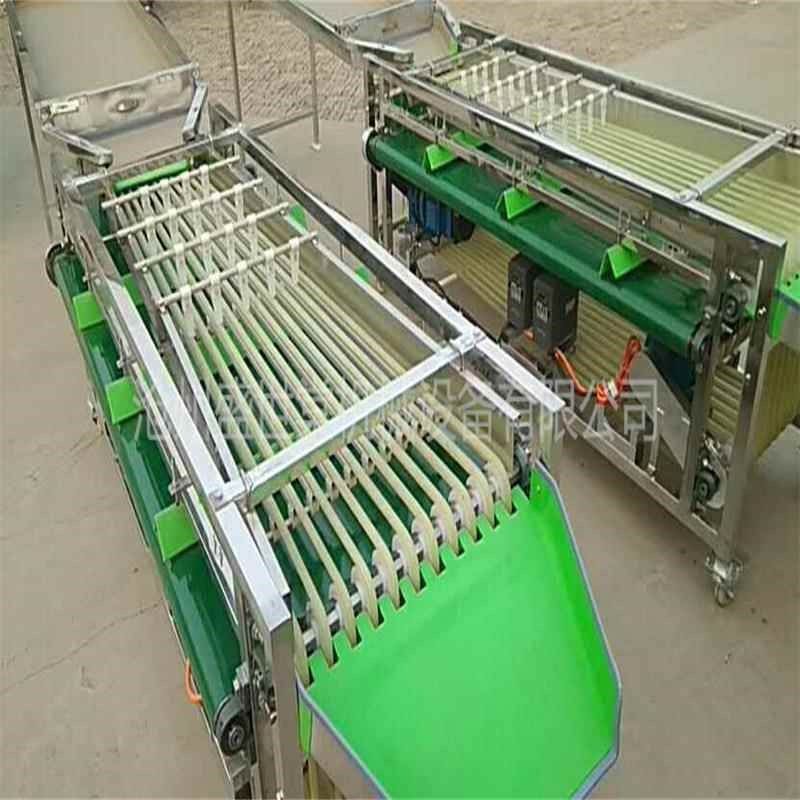 紫红色鸡蛋果鸡蛋果选果机 商用小型水果分果机 分级规格可选,机械设备,试验机,淘宝优惠券,粉丝福利购,淘宝优惠卷