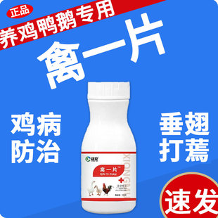 雄牧禽一养片小鸡鸭鹅专用药大全鸡病防治感家禽用特冒效救命正品
