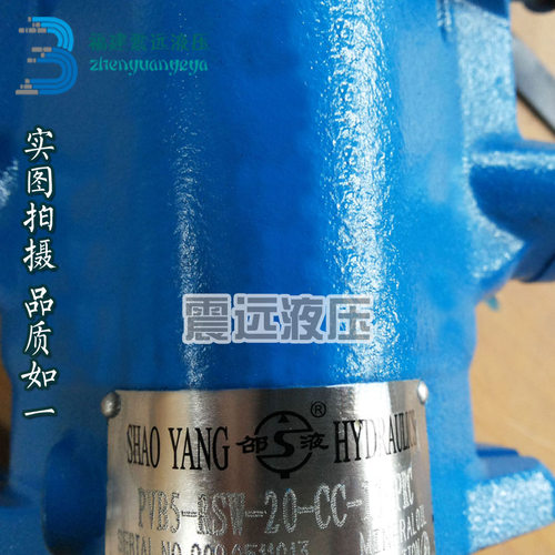PVB5-LS-20-C-11-PRC邵阳维克PVB5-RS-20-CC-11-PRC邵液柱塞泵