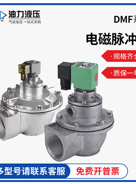 脉冲阀DMF-ZM-202540袋式直角式螺母除尘24V220V电磁阀6分防爆