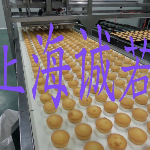 上海厂家  蛋糕脱模机 蛋糕吸盘机 食品烘焙设备