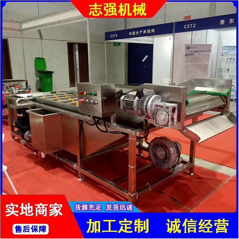 鲜玉米气泡喷淋清洗机花生毛豆果蔬清洗冷却流水线商用洗菜机