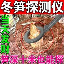 冬笋探测仪冬笋高精度手持式新款挖笋专用找笋神器探测器竹笋竹林