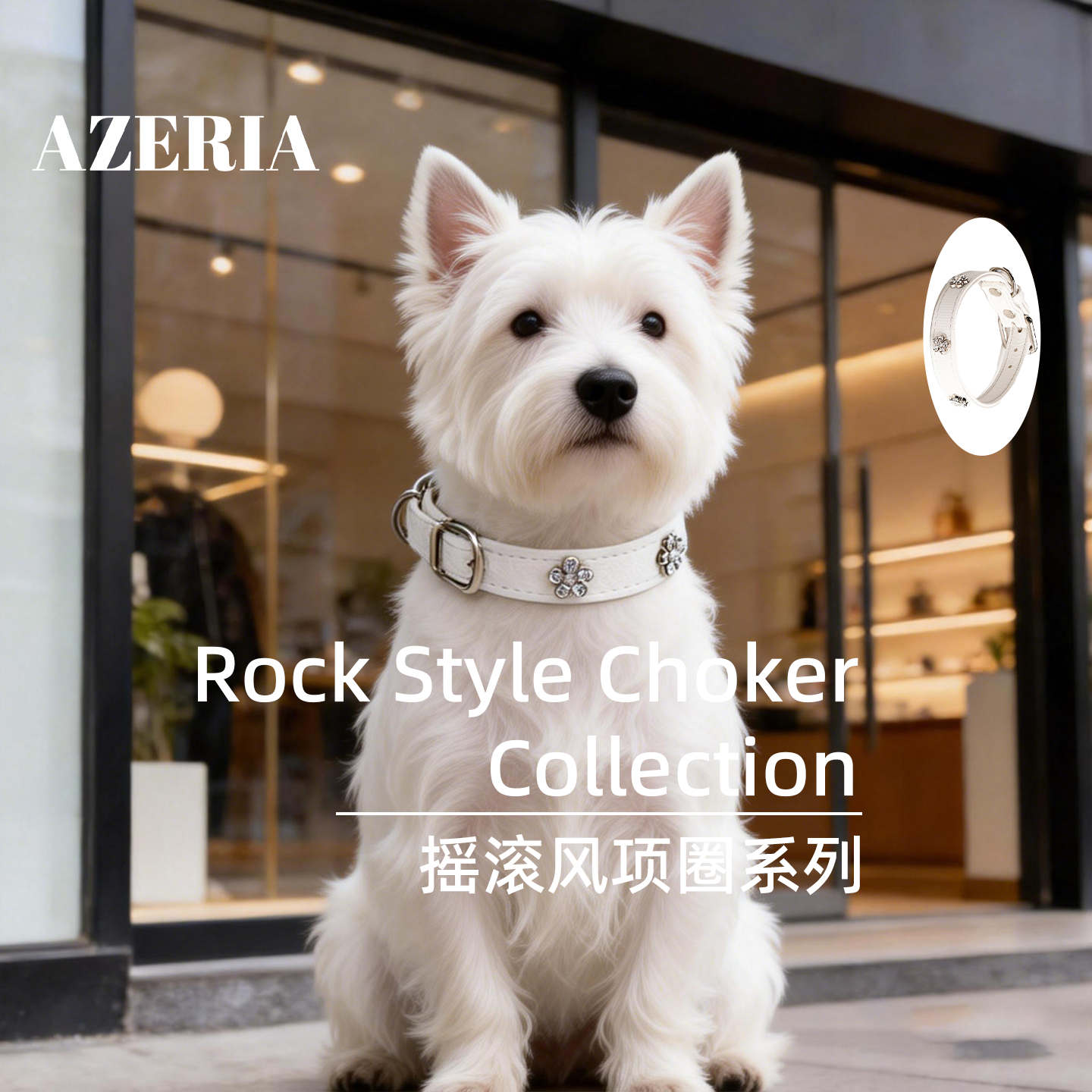 AZERIA宠物狗狗项圈弹力防滑皮革慕斯白梅花镶钻四季通用颈圈脖圈,宠物/宠物食品及用品,项圈/肩带,淘宝优惠券,粉丝福利购,淘宝优惠卷