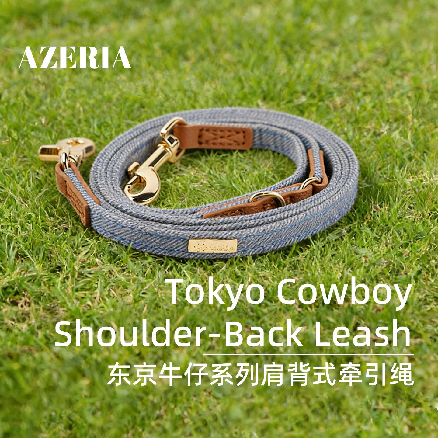 AZERIA宠物狗狗猫咪日常遛狗牵引绳牛皮加长多功能小型犬用品户外