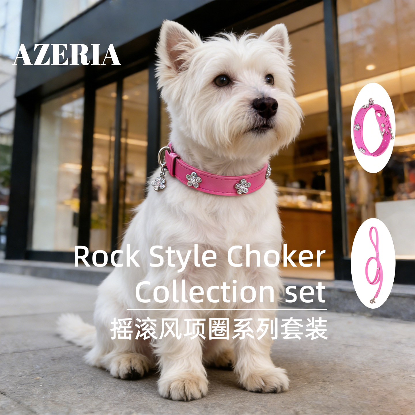 AZERIA宠物狗狗梅花镶钻闪耀项圈配牵引绳中小型犬用脖套户外遛狗,宠物/宠物食品及用品,项圈/肩带,淘宝优惠券,粉丝福利购,淘宝优惠卷