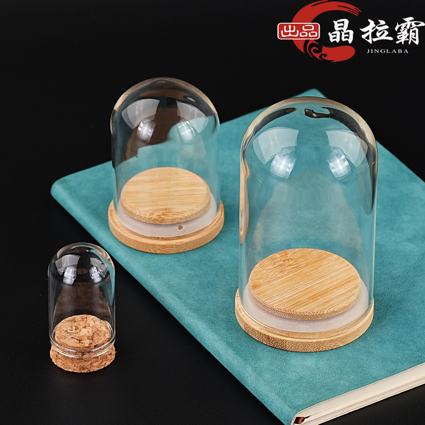 玻璃标本瓶子观赏展示盒