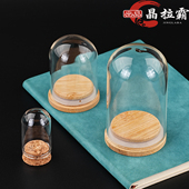 矿标玻璃瓶子展示盒矿物晶体收纳盒宝石收藏支架化学实验培育器皿