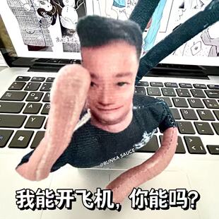 吴京抽象老鼠干有铁丝骨架可随意摆造型搞笑吴京梗玩偶送礼