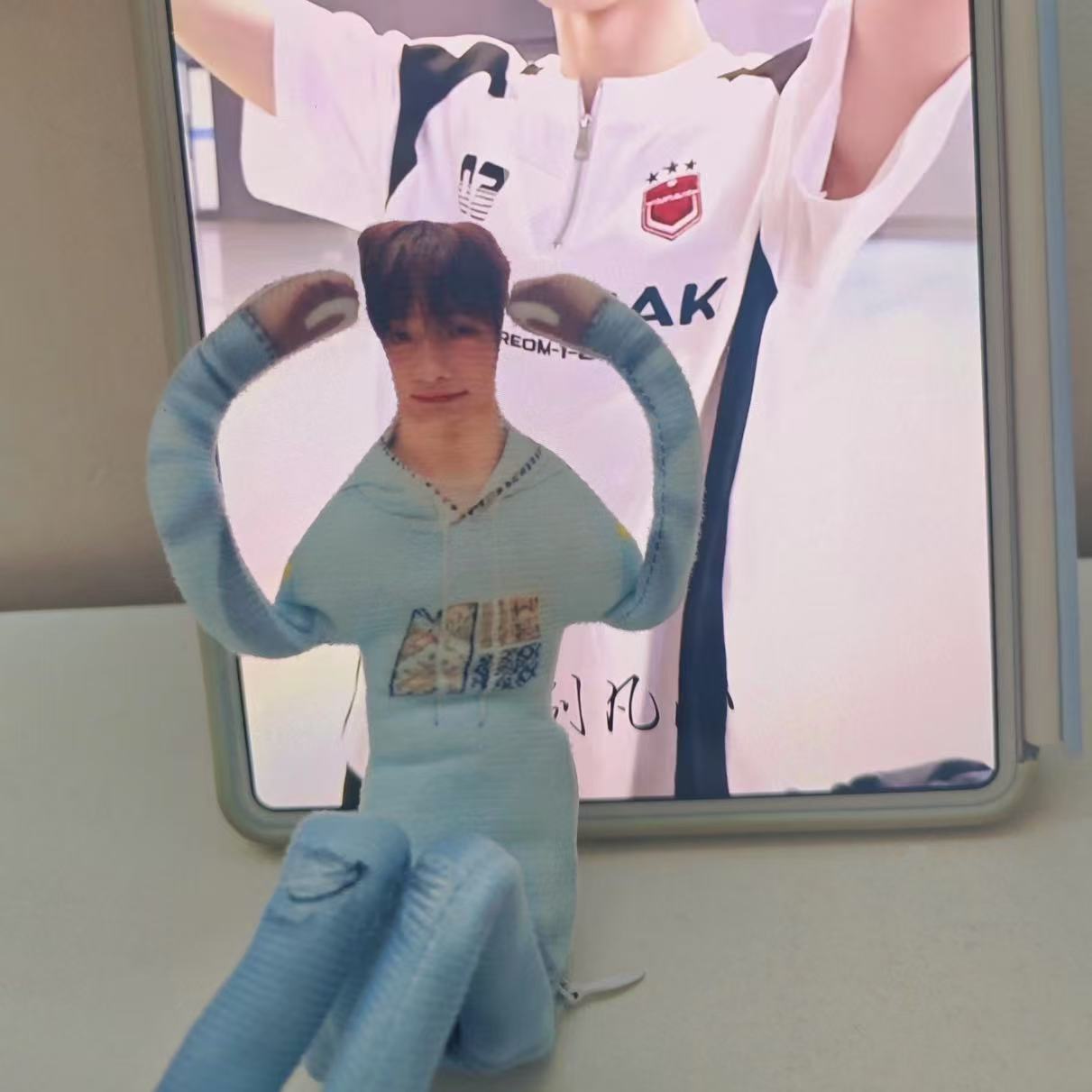 梓渝老鼠干抽象周边四肢分离有铁丝骨架可摆造型无白边玩偶