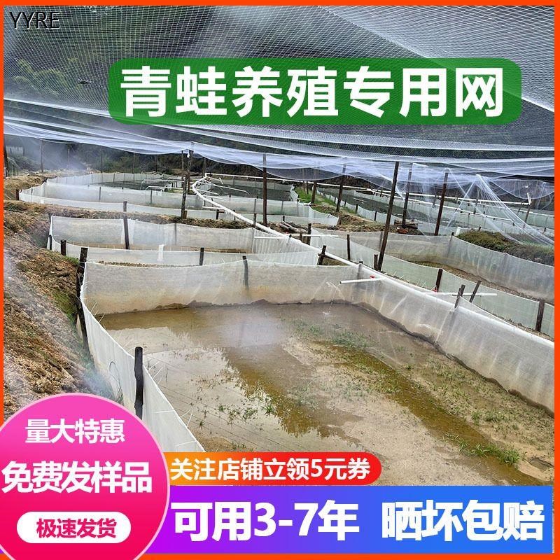 热销青蛙围网青蛙养殖围网青蛙养殖防逃网专用食台网牛Z蛙食台布