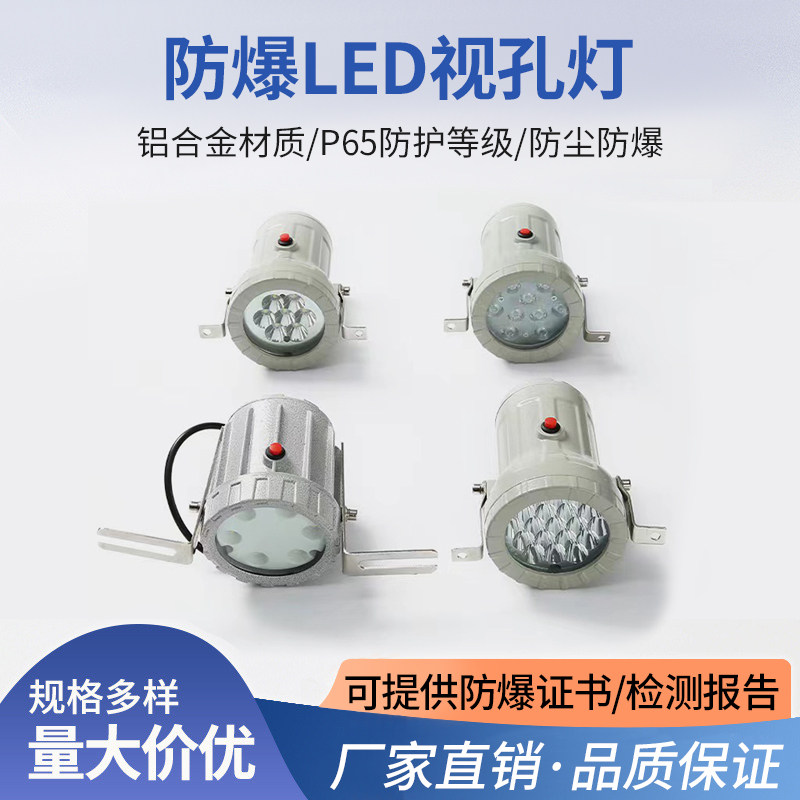led防爆视孔灯5w10w20w30瓦防水观察投射灯BSD96反应釜视镜灯探照