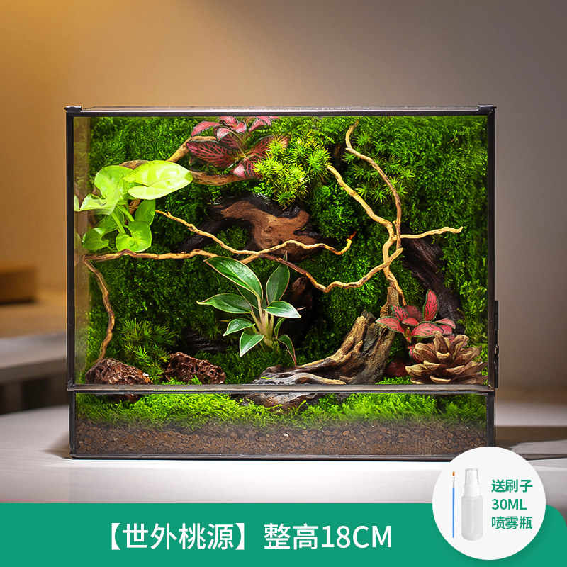 创意送礼办公室内客厅桌面苔藓微景观盆景好养鲜活绿植生态瓶盆栽