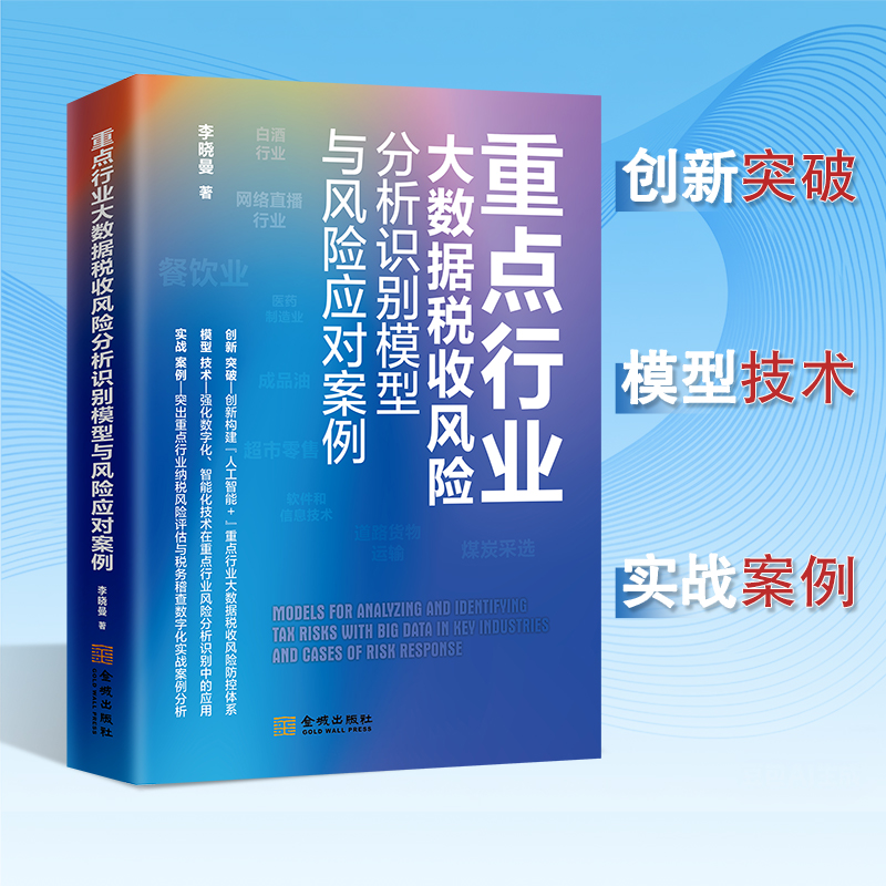 2025年新版 重点行业大数据税收风险分析识别模型与风险应对案例 李晓曼著