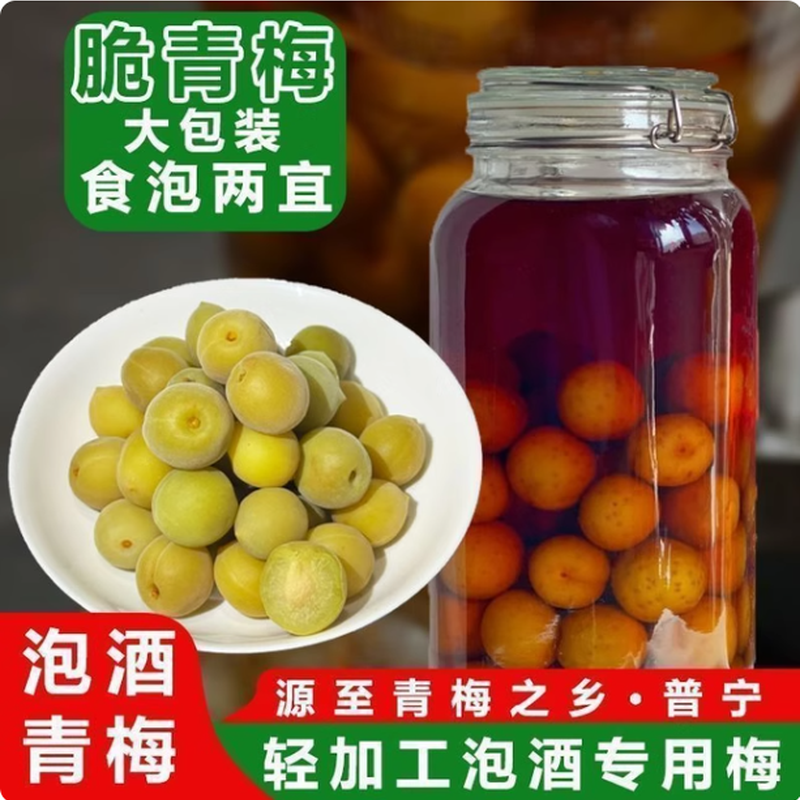青梅泡酒专用现摘新鲜果腌制半成品酸甜果干果脯精选冰糖泡制网红款解腻梅子酒轻加工解馋无需处理省事小零食开胃休闲方便便捷蜜饯