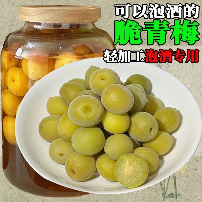 青梅泡酒专用现摘新鲜果腌制半成品开胃爽口冰糖泡制方便精选果脯梅子酒休闲便捷省事果干简单网红款无需处理小零食酸甜家庭果酒