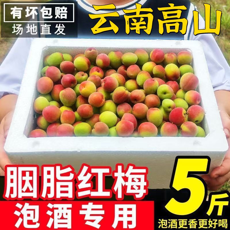 当季云南胭脂红梅新鲜青梅果泡酒胭脂梅现摘胭脂梅其他水果胭脂梅