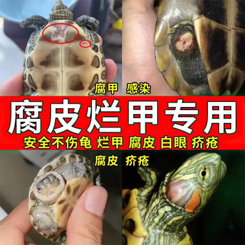 乌龟药腐皮烂甲专用乌龟烂脚壳软甲治疗龟壳白斑消毒墨草龟巴西龟