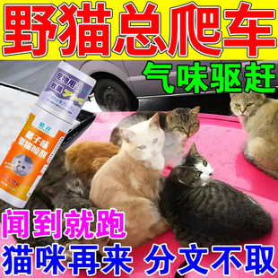 驱猫神器室外长效流浪野猫喷雾剂驱赶专用猫乱拉屎尿吓防猫驱猫剂